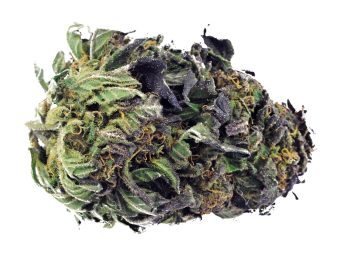 Blue Amnesia