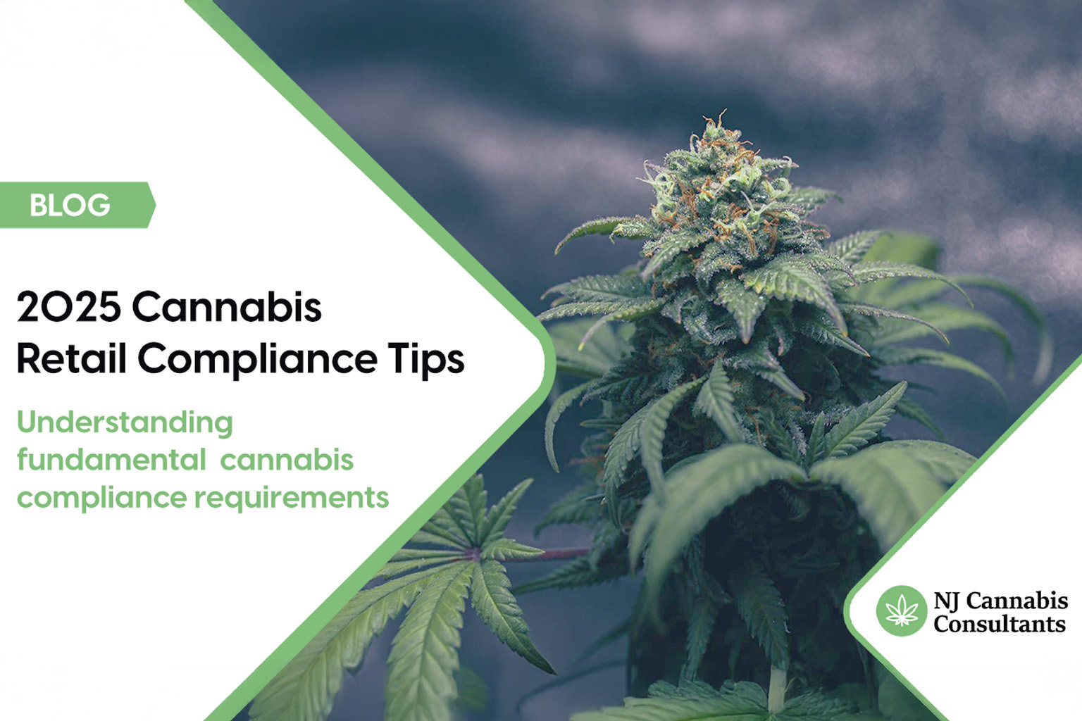 Cannabis Retail Compliance Tips - by NJ Cannabis Consultants LLC